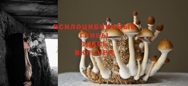 бутик Вяземский