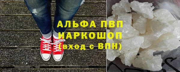 ПСИЛОЦИБИНОВЫЕ ГРИБЫ Семёнов