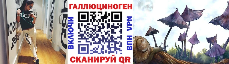 Псилоцибиновые грибы MAGIC MUSHROOMS купить наркоту Дедовск